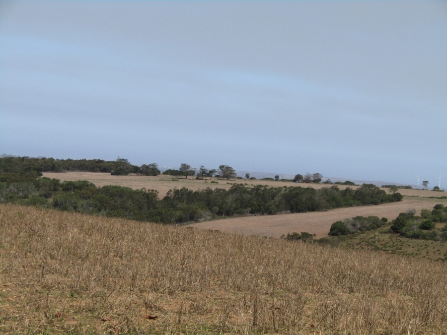 Commercial Property for Sale in Humansdorp Rural Eastern Cape